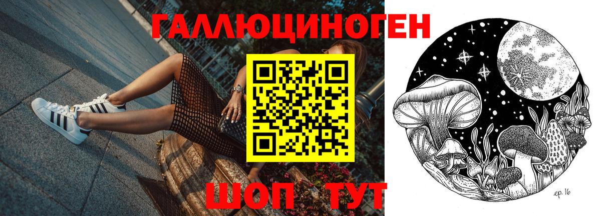 Новоуральск  Галлюциногенные грибы прущие грибы  Вход с VPN 