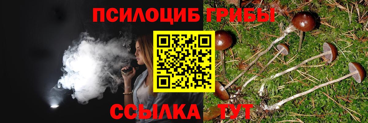 Галлюциногенные грибы Psilocybine cubensis Новоуральск